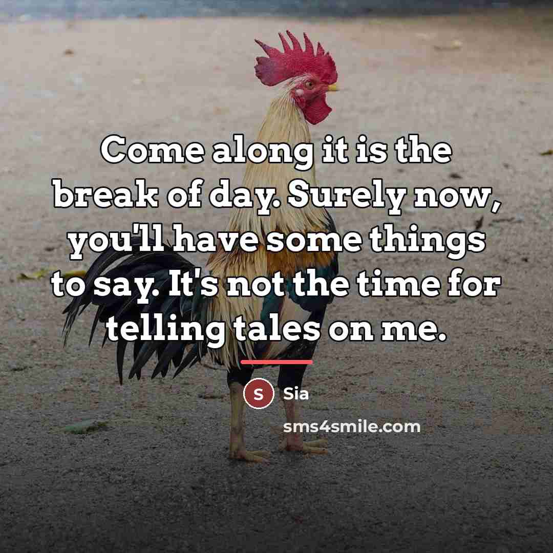 “Come along it is the break of day. Surely now,…” quote by Sia