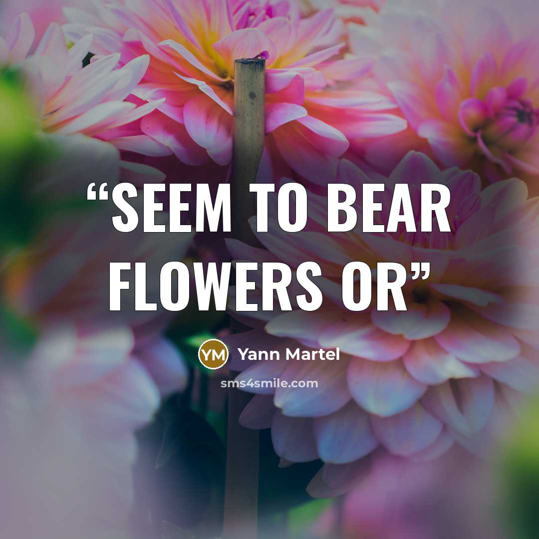 “seem to bear flowers or” quote by Yann Martel