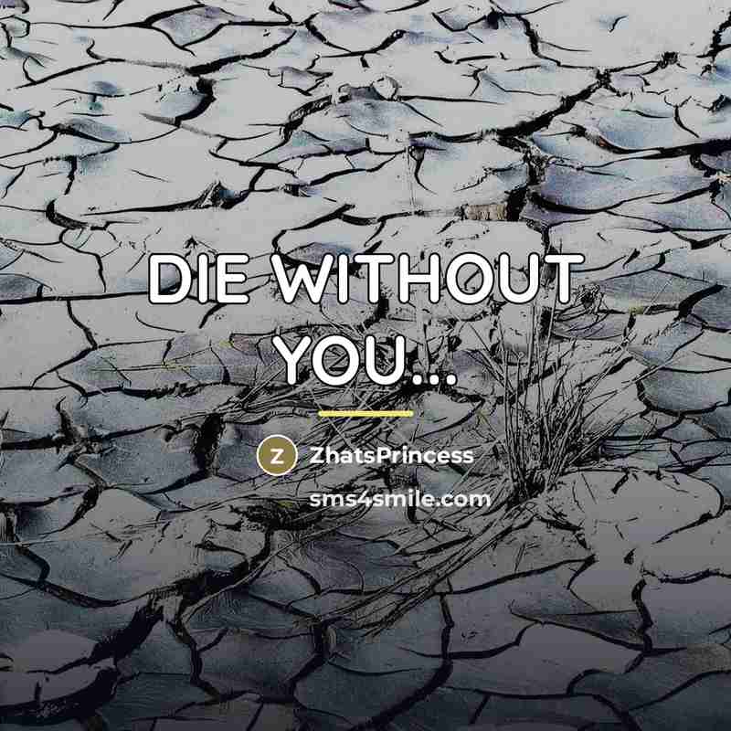 “DIE WITHOUT YOU...…” quote by ZhatsPrincess