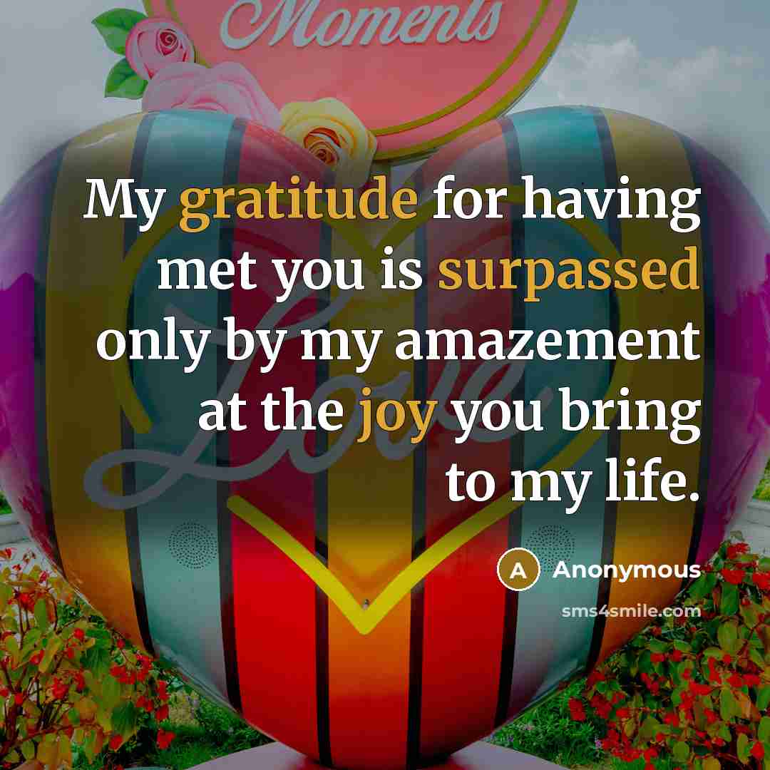 “My gratitude for having met you is surpassed only by my amazement at the joy you bring to my life.” quote by Anonymous