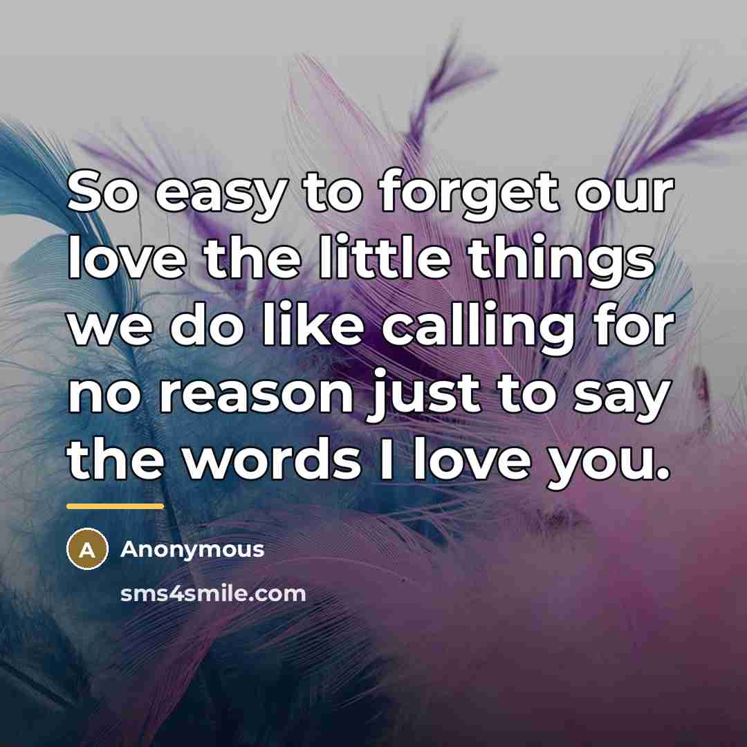 “So easy to forget our love the little things we…” quote by Anonymous