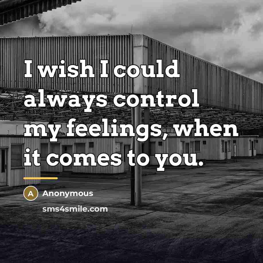 “I wish I could always control my feelings, when it…” quote by Anonymous