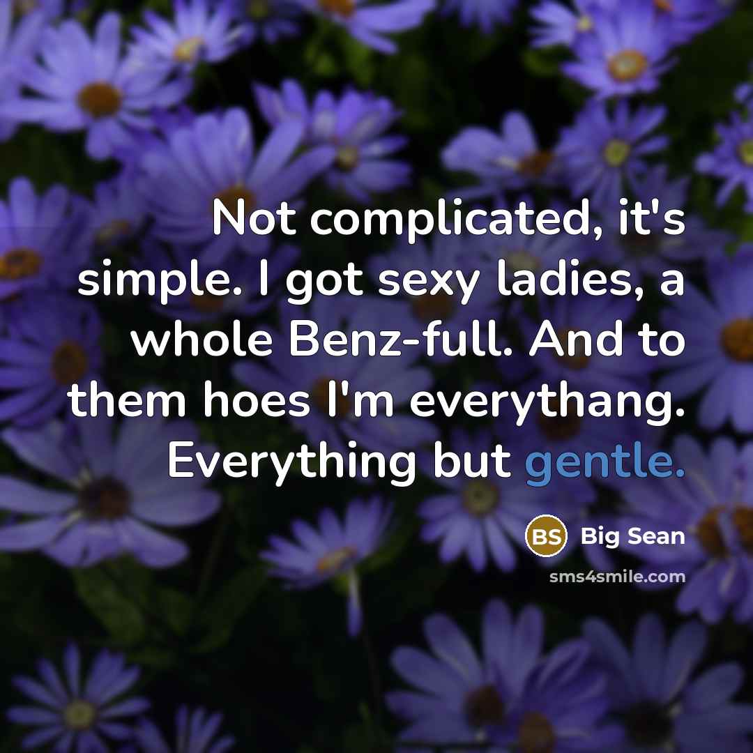 “Not complicated, it's simple. I got sexy ladies, a whole Benz-full. And to them hoes I'm everythang. Everything but gentle.” quote by Big Sean