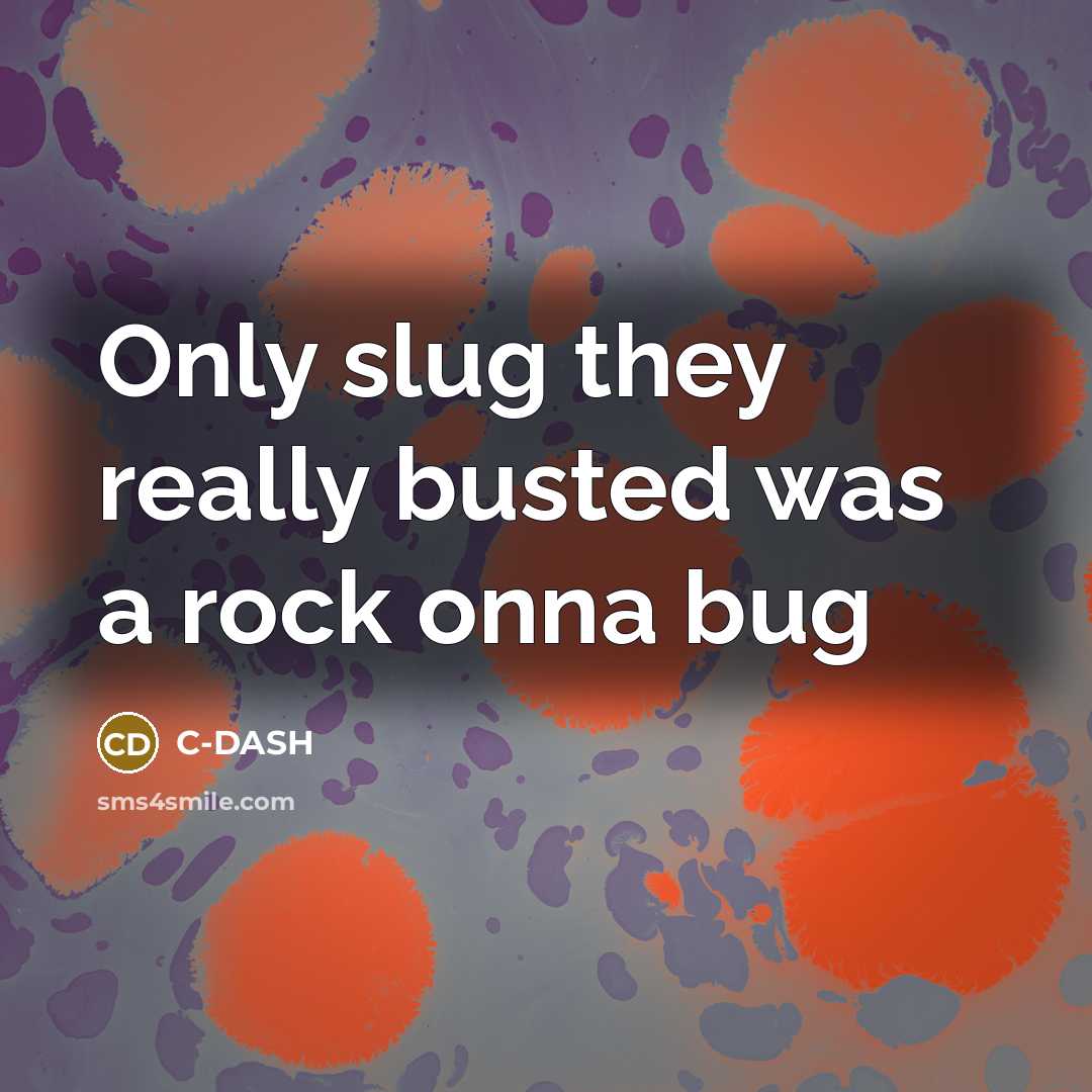 “Only slug they really busted was a rock onna bug” quote by C-DASH