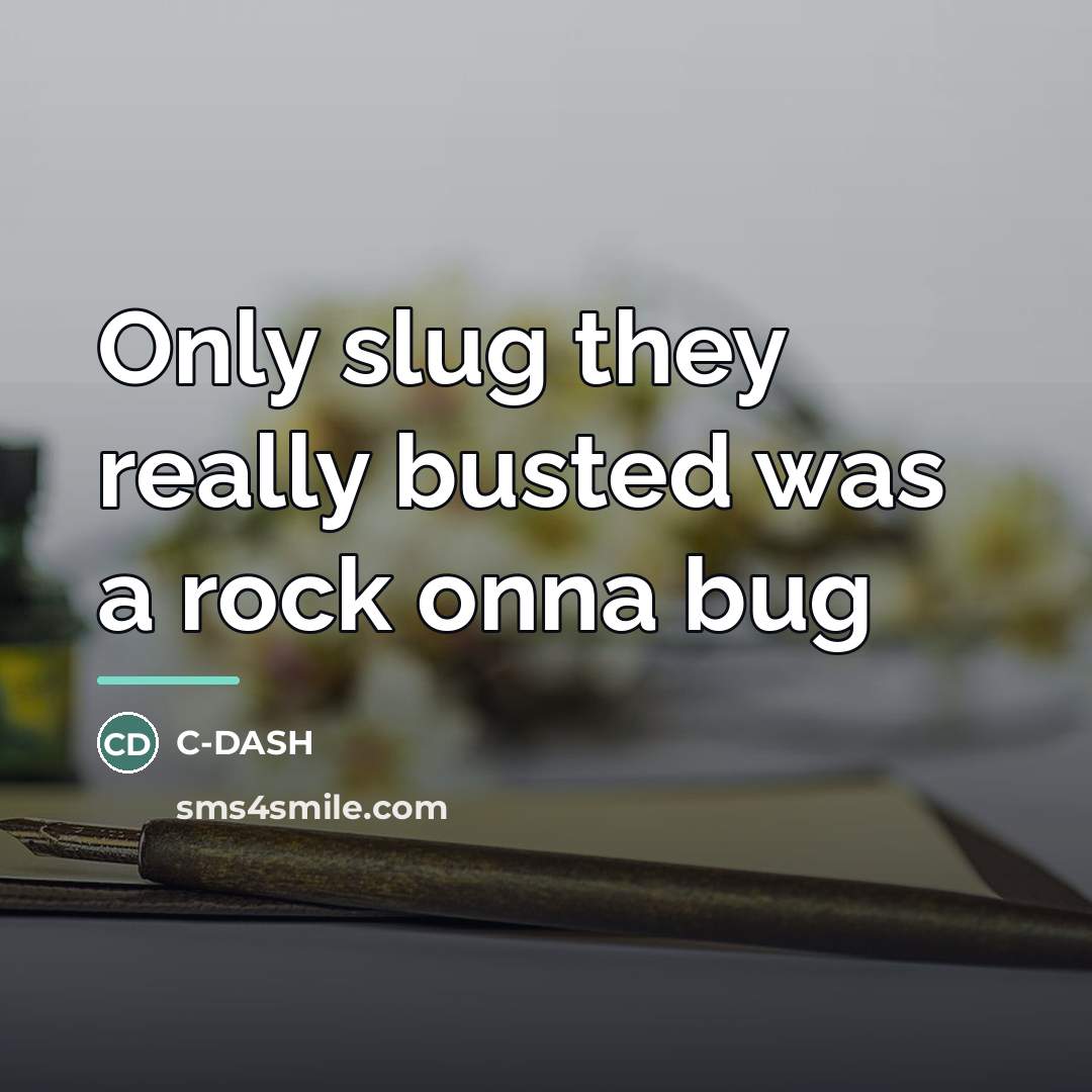 “Only slug they really busted was a rock onna bug…” quote by C-DASH
