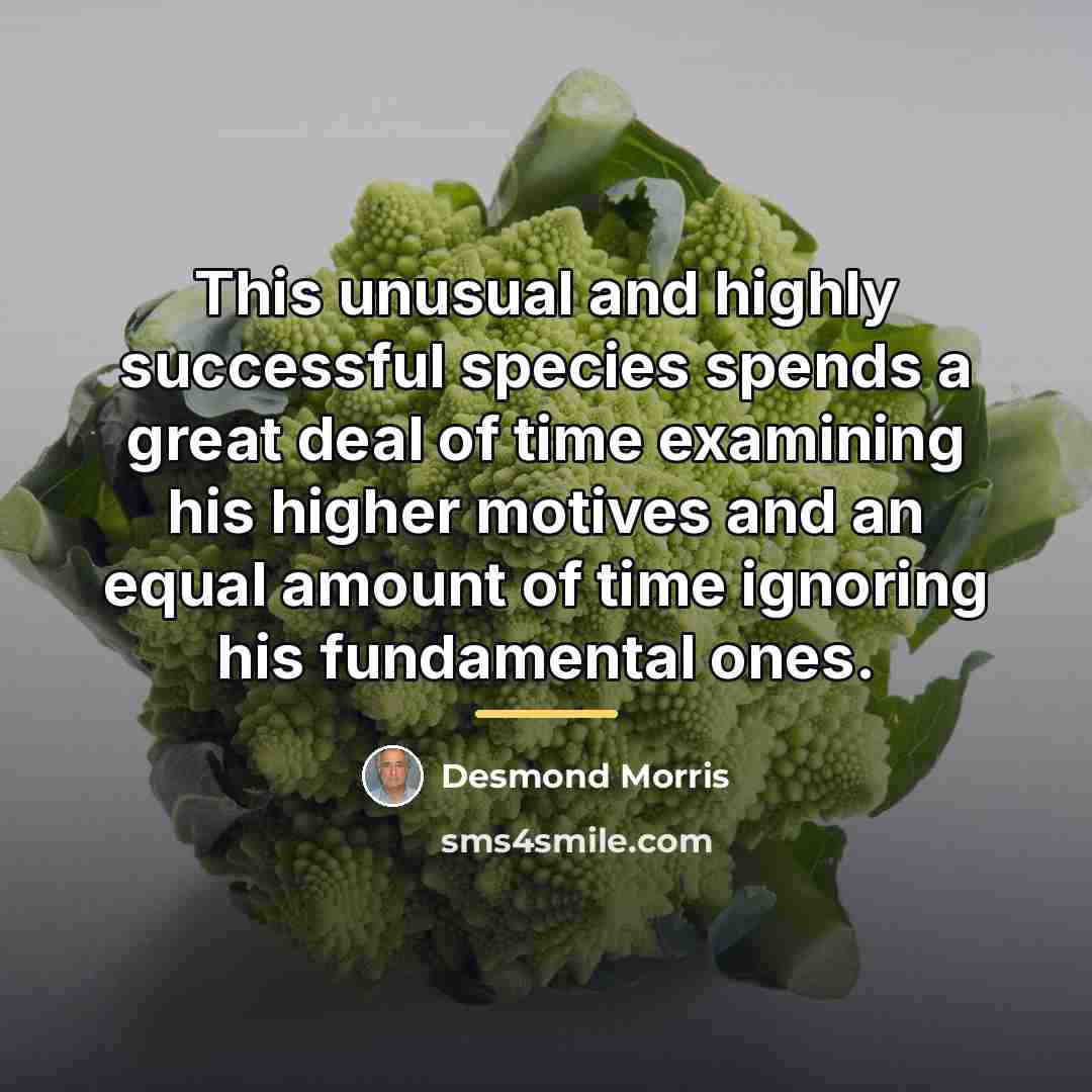 “This unusual and highly successful species spends a great deal…” quote by Desmond Morris