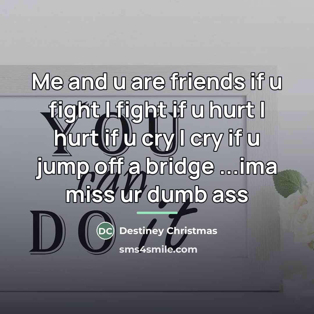 “Me and u are friends if u fight I fight…” quote by Destiney Christmas