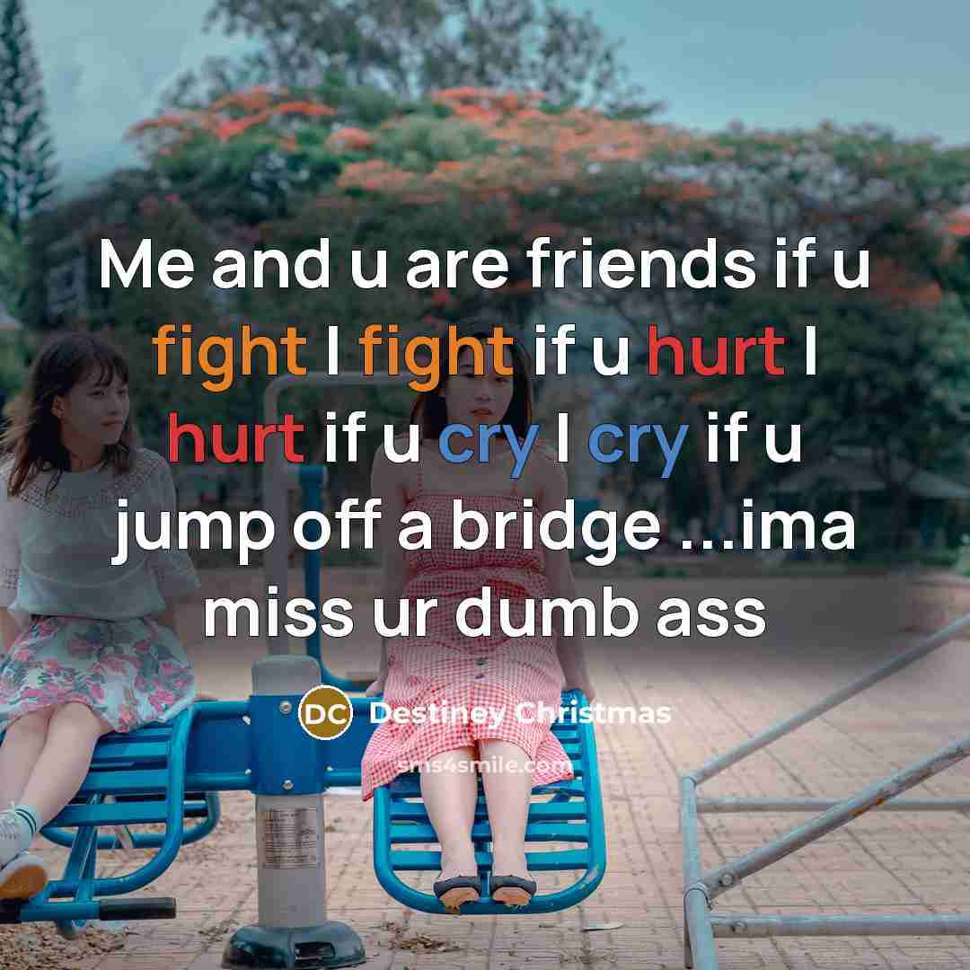 “Me and u are friends if u fight I fight if u hurt I hurt if u cry I cry if u jump off a bridge ...ima miss ur dumb ass” quote by Destiney Christmas