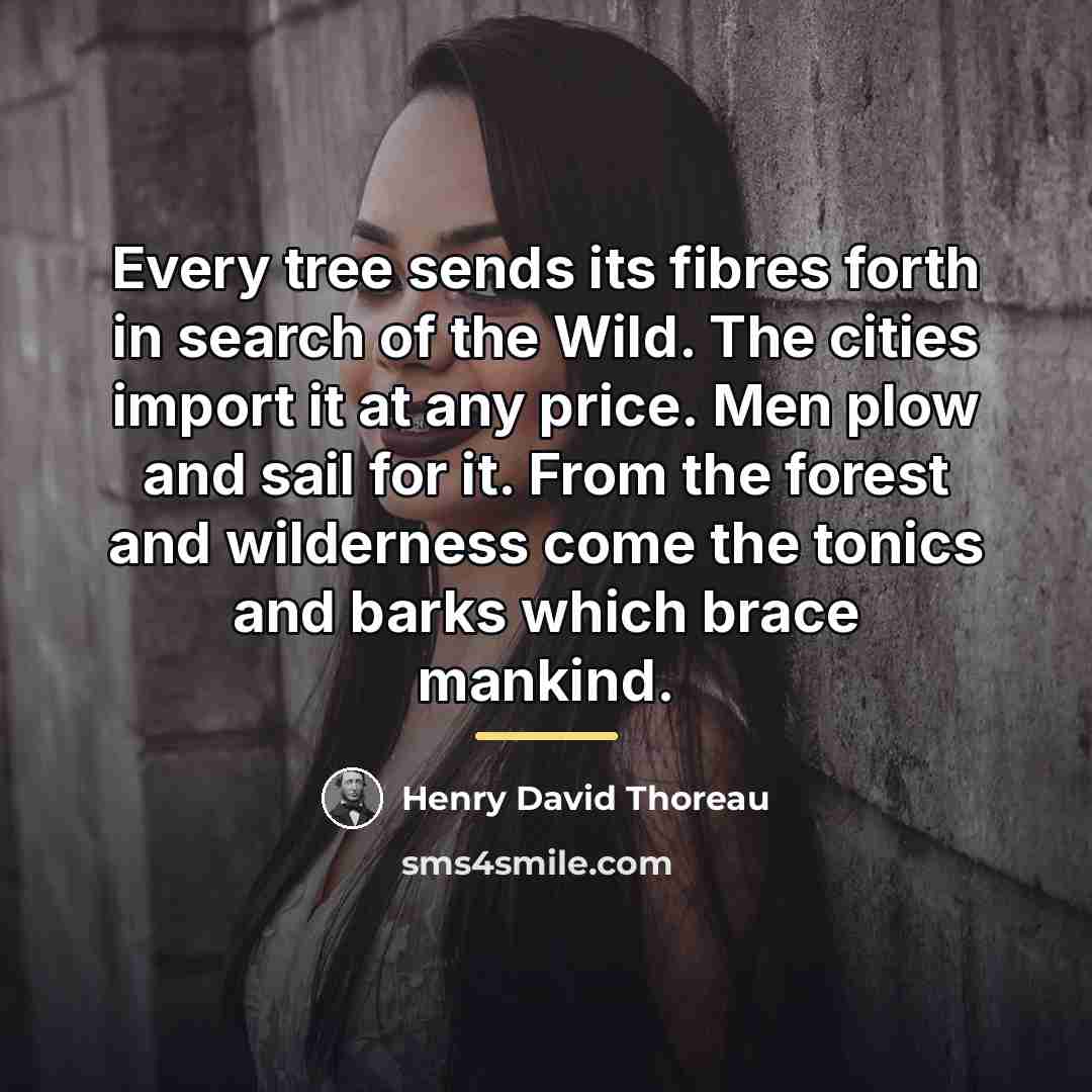“Every tree sends its fibres forth in search of the…” quote by Henry David Thoreau