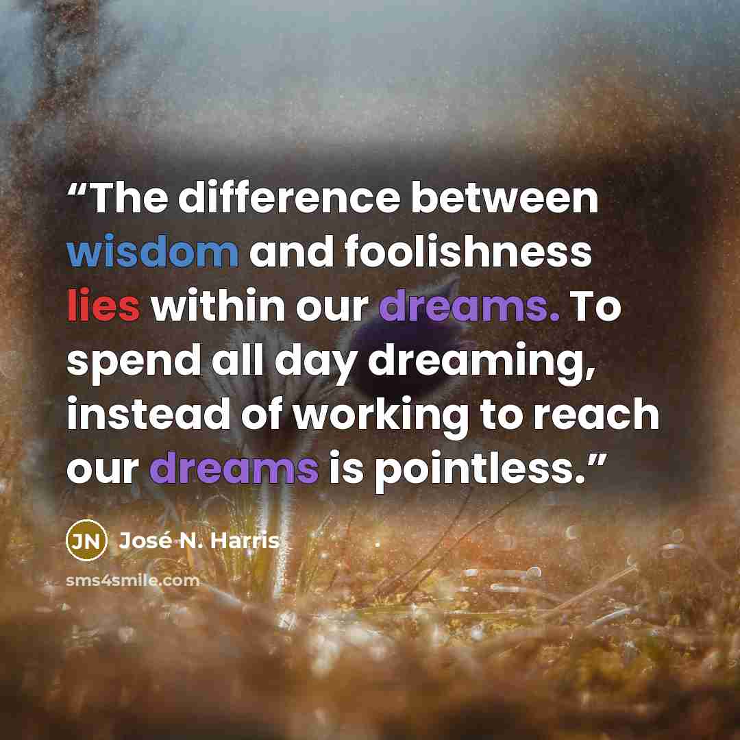 “The difference between wisdom and foolishness lies within our dreams. To spend all day dreaming, instead of working to reach our dreams is pointless.” quote by José N. Harris