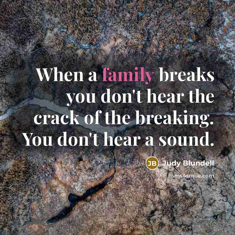 “When a family breaks you don't hear the crack of…” quote by Judy Blundell