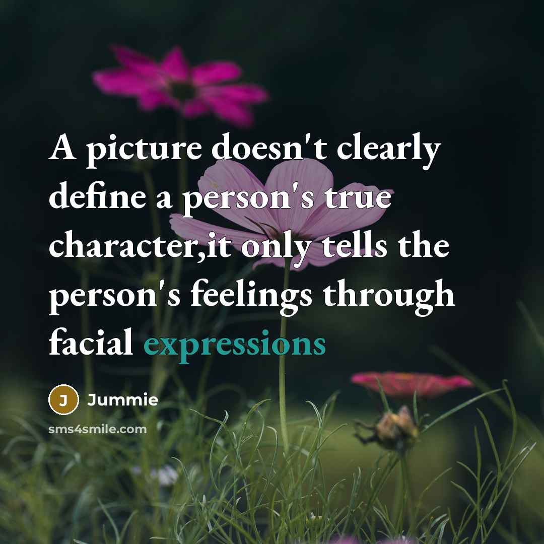 “A picture doesn't clearly define a person's true character,it only tells the person's feelings through facial expressions” quote by Jummie