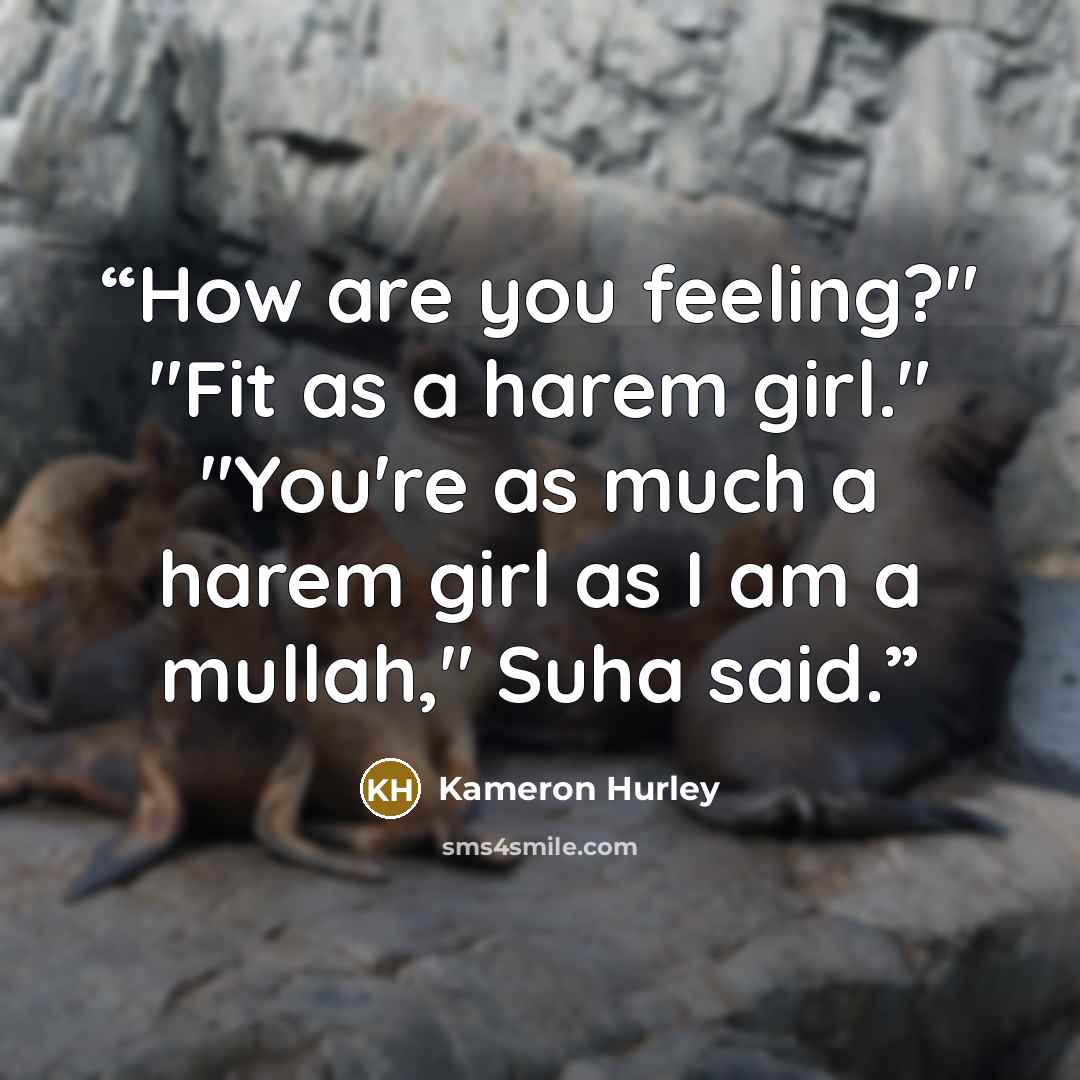 “How are you feeling?" "Fit as a harem girl." "You're as much a harem girl as I am a mullah," Suha said.” quote by Kameron Hurley