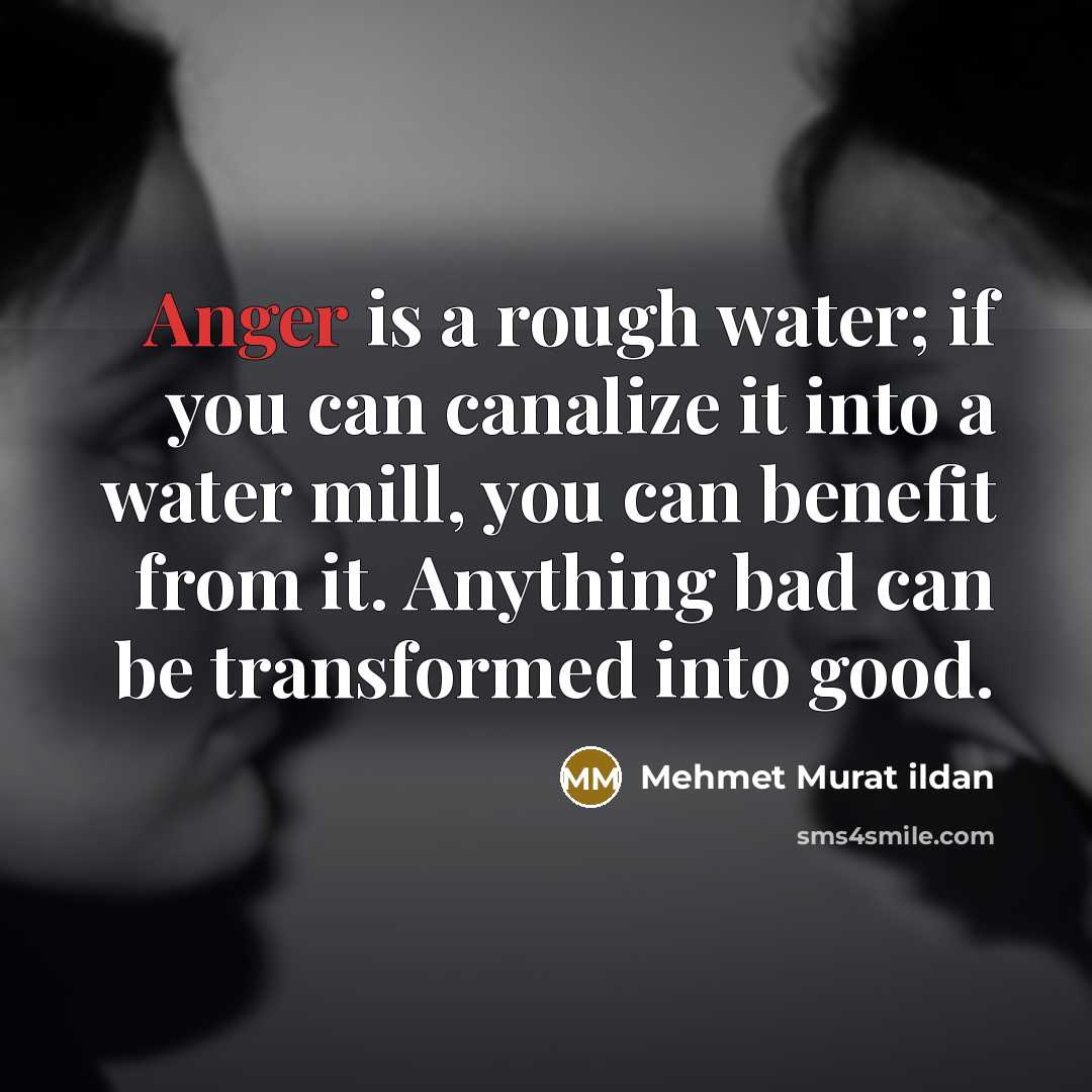 “Anger is a rough water; if you can canalize it…” quote by Mehmet Murat Ildan