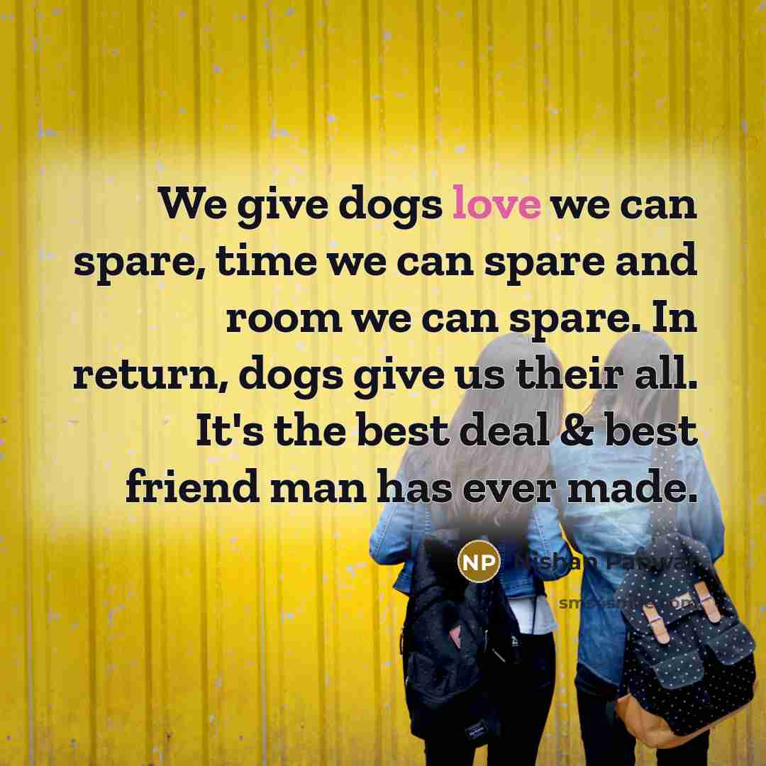 “We give dogs love we can spare, time we can…” quote by Nishan Panwar