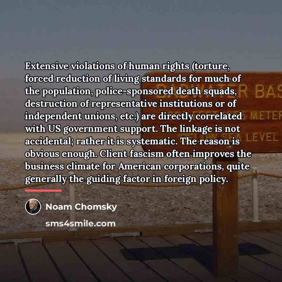 “Extensive violations of human rights (torture, forced reduction of living…” quote by Noam Chomsky