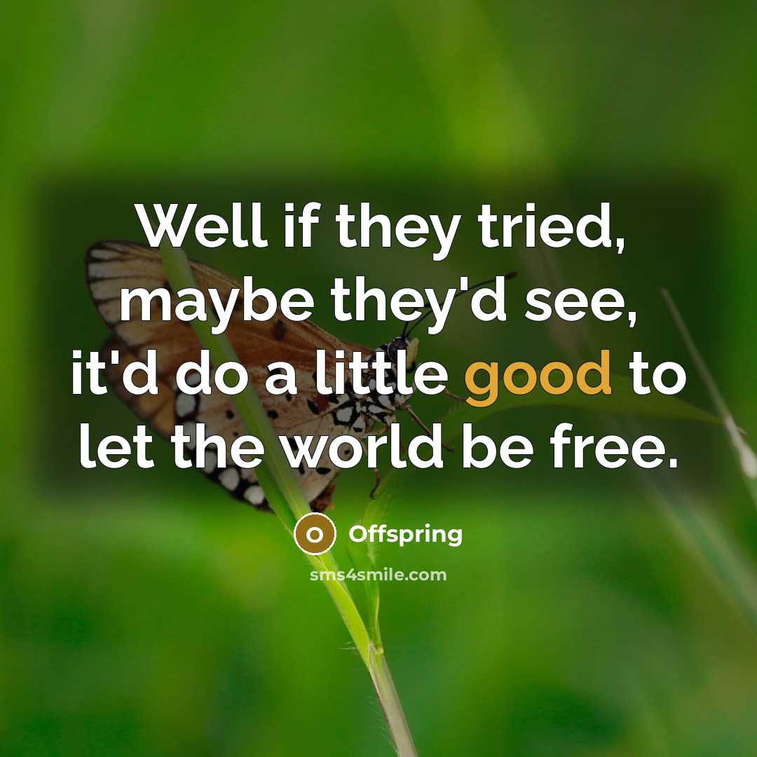 “Well if they tried, maybe they'd see, it'd do a…” quote by Offspring