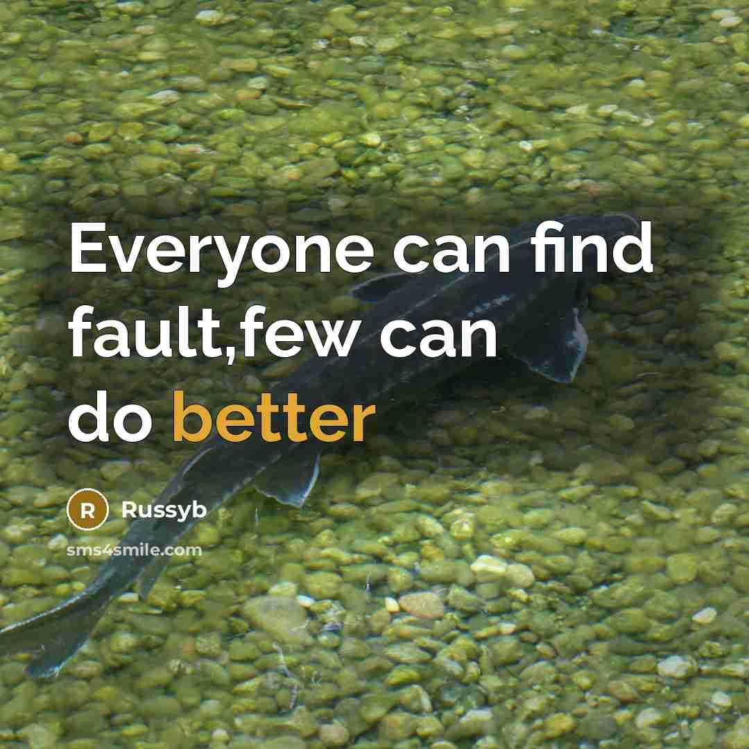 “Everyone can find fault,few can do better” quote by Russyb