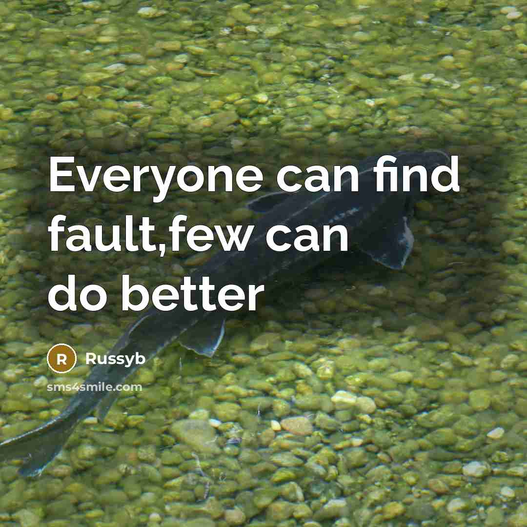 “Everyone can find fault,few can do better…” quote by Russyb