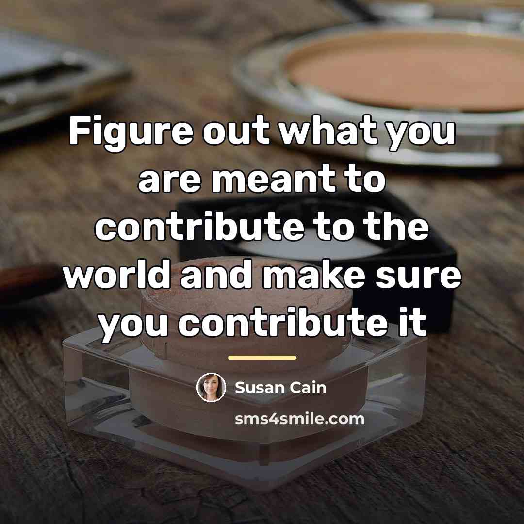“Figure out what you are meant to contribute to the…” quote by Susan Cain