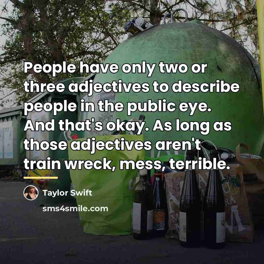 “People have only two or three adjectives to describe people…” quote by Taylor Swift