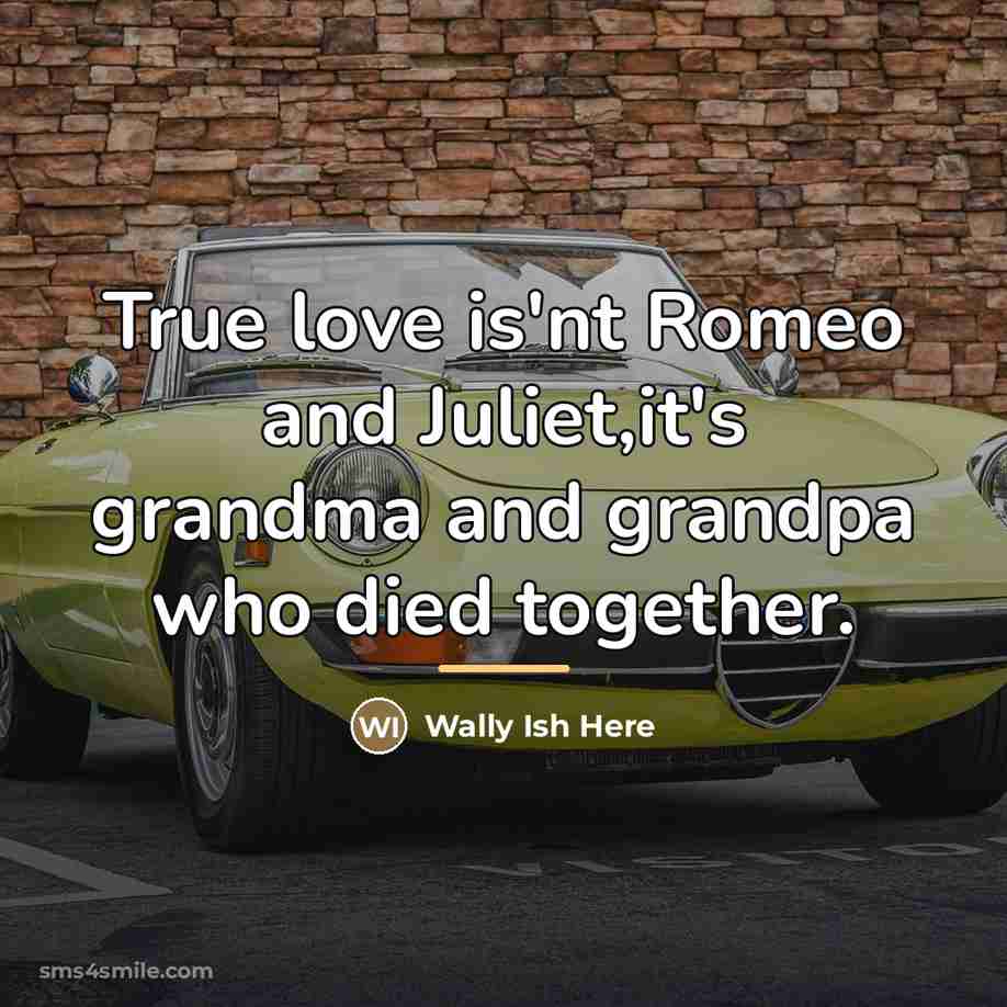“True love is'nt Romeo and Juliet,it's grandma and grandpa who…” quote by Wally Ish Here