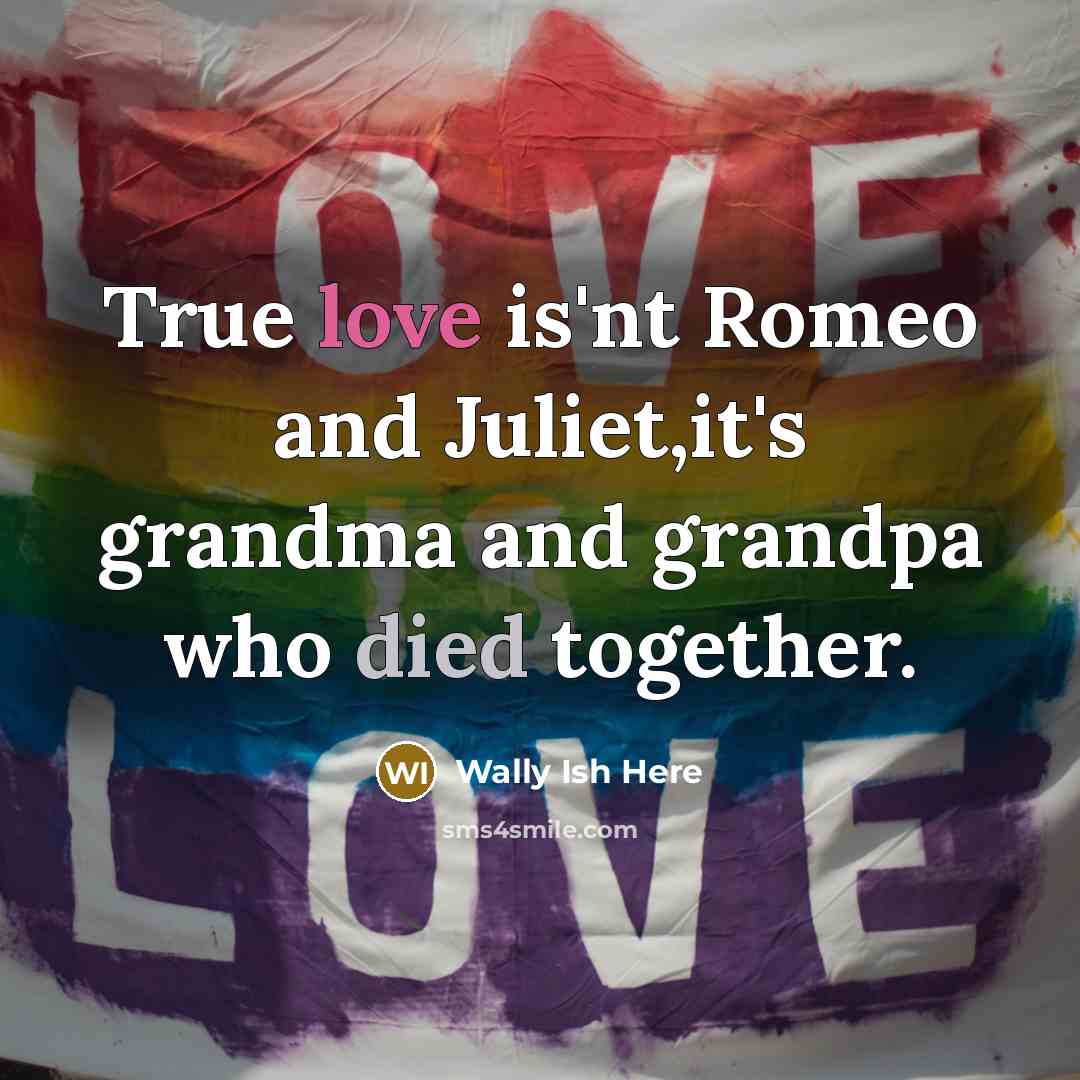 “True love is'nt Romeo and Juliet,it's grandma and grandpa who died together.” quote by Wally Ish Here