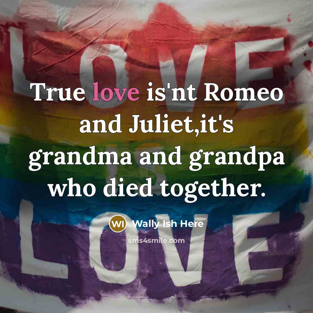 “True love is'nt Romeo and Juliet,it's grandma and grandpa who died together.” quote by Wally Ish Here