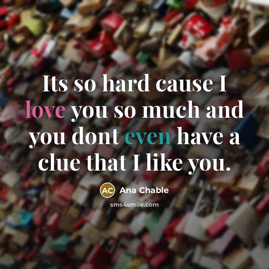 “Its so hard cause I love you so much and…” quote by Ana Chable