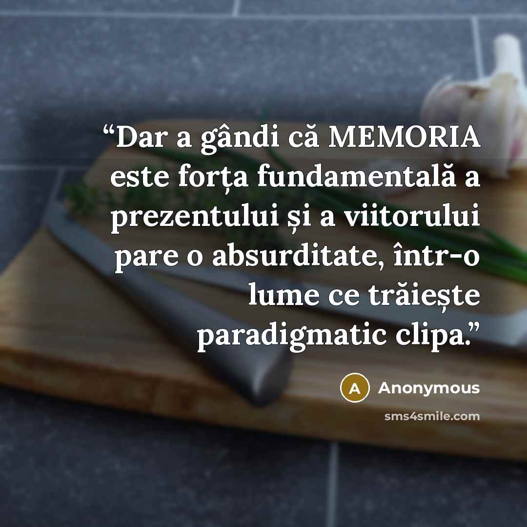 “Dar a gândi că MEMORIA este forța fundamentală a prezentului și a viitorului pare o absurditate, într-o lume ce trăiește paradigmatic clipa.” quote by Anonymous
