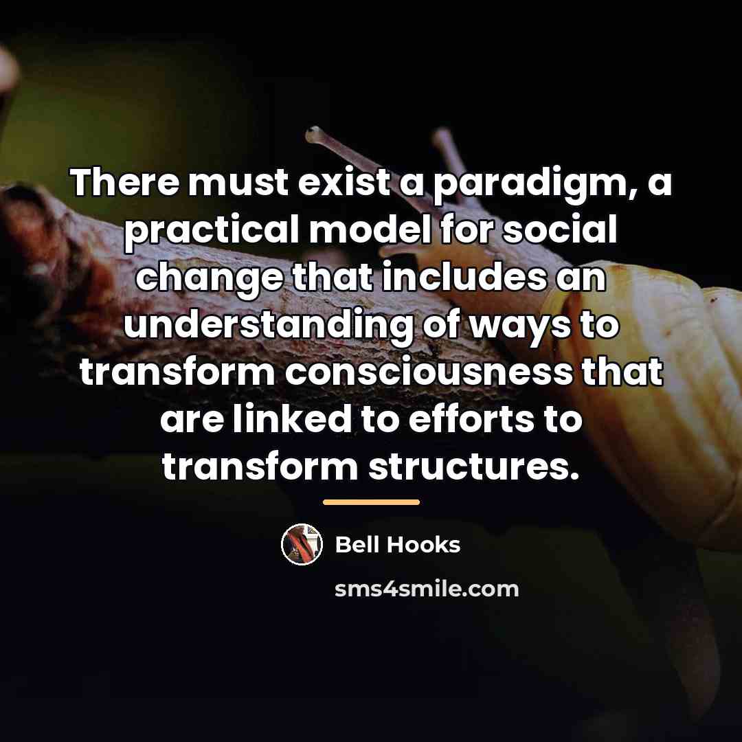 “There must exist a paradigm, a practical model for social…” quote by Bell Hooks