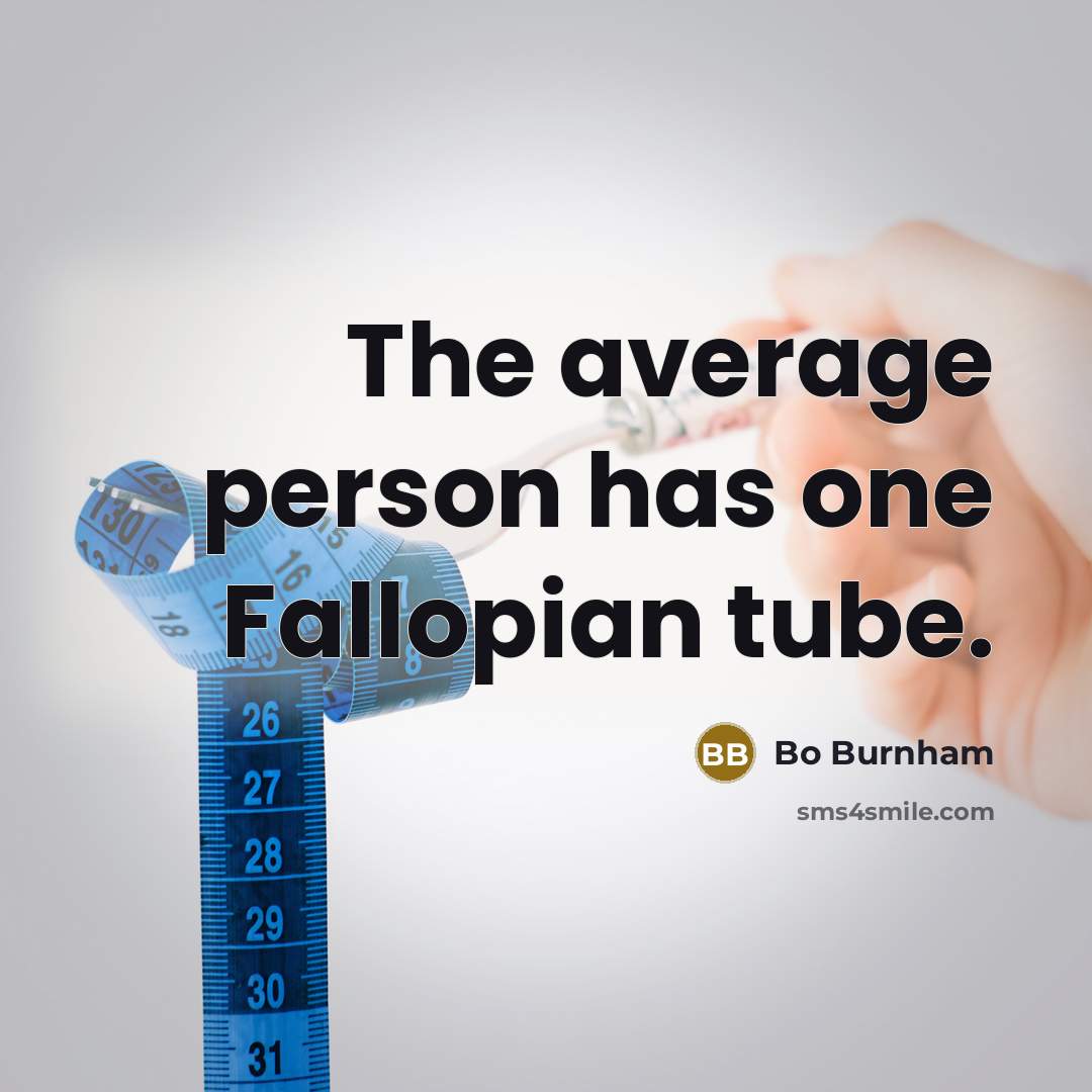 “The average person has one Fallopian tube.…” quote by Bo Burnham