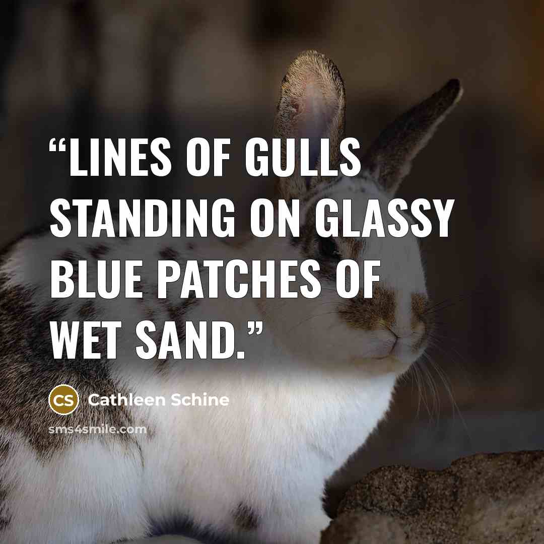 “Lines of gulls standing on glassy blue patches of wet sand.” quote by Cathleen Schine