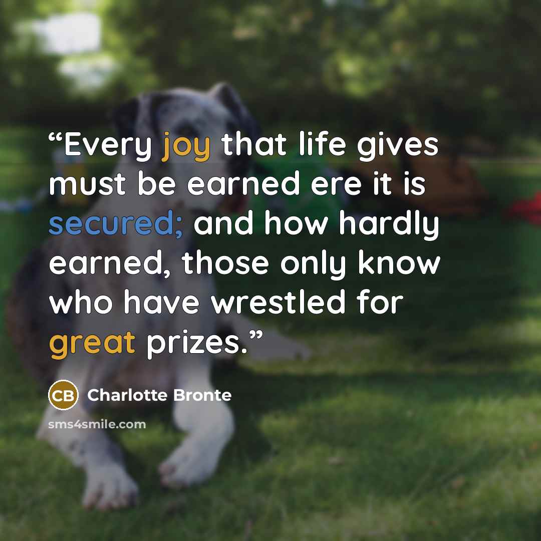 “Every joy that life gives must be earned ere it is secured; and how hardly earned, those only know who have wrestled for great prizes.” quote by Charlotte Brontë