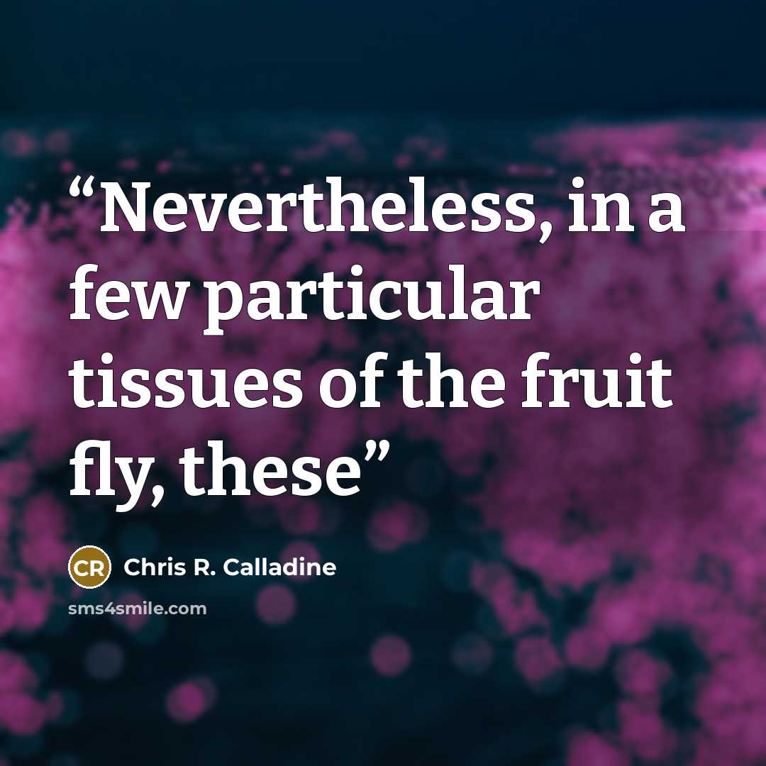 “Nevertheless, in a few particular tissues of the fruit fly, these” quote by Chris R. Calladine
