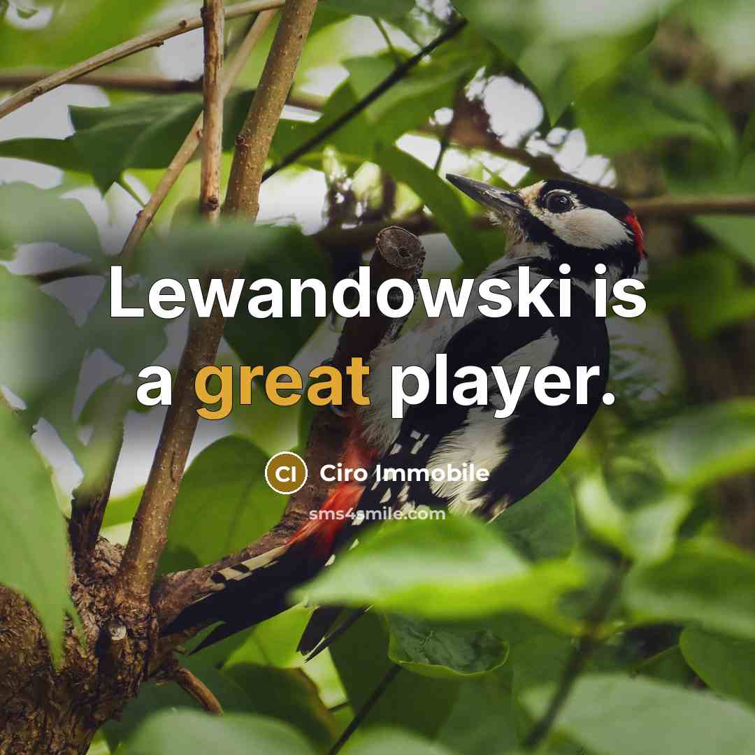 “Lewandowski is a great player.” quote by Ciro Immobile