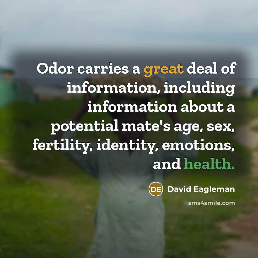 “Odor carries a great deal of information, including information about…” quote by David Eagleman