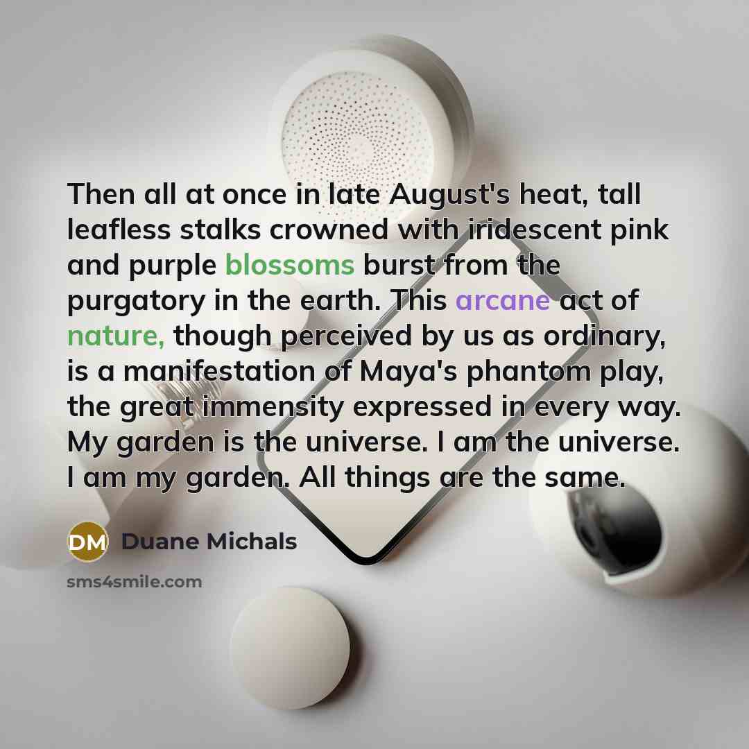 “Then all at once in late August's heat, tall leafless…” quote by Duane Michals