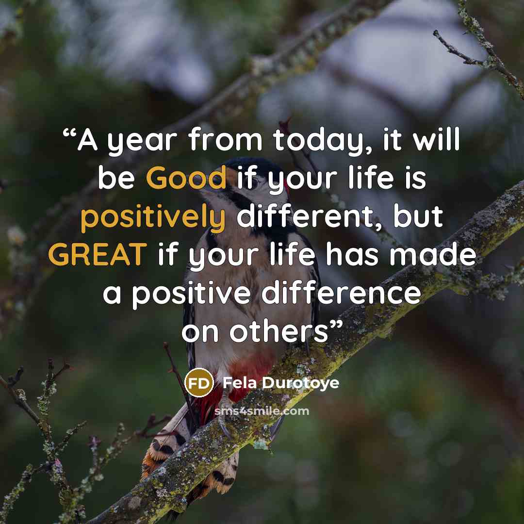 “A year from today, it will be Good if your life is positively different, but GREAT if your life has made a positive difference on others” quote by Fela Durotoye