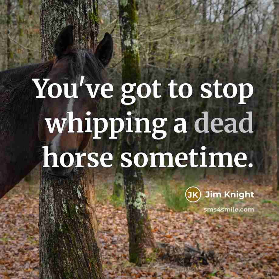 “You've got to stop whipping a dead horse sometime.” quote by Jim Knight
