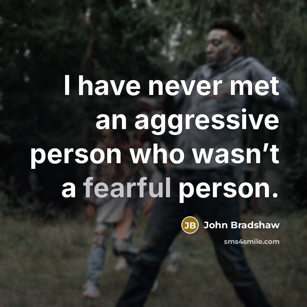 “I have never met an aggressive person who wasn’t a…” quote by John Bradshaw
