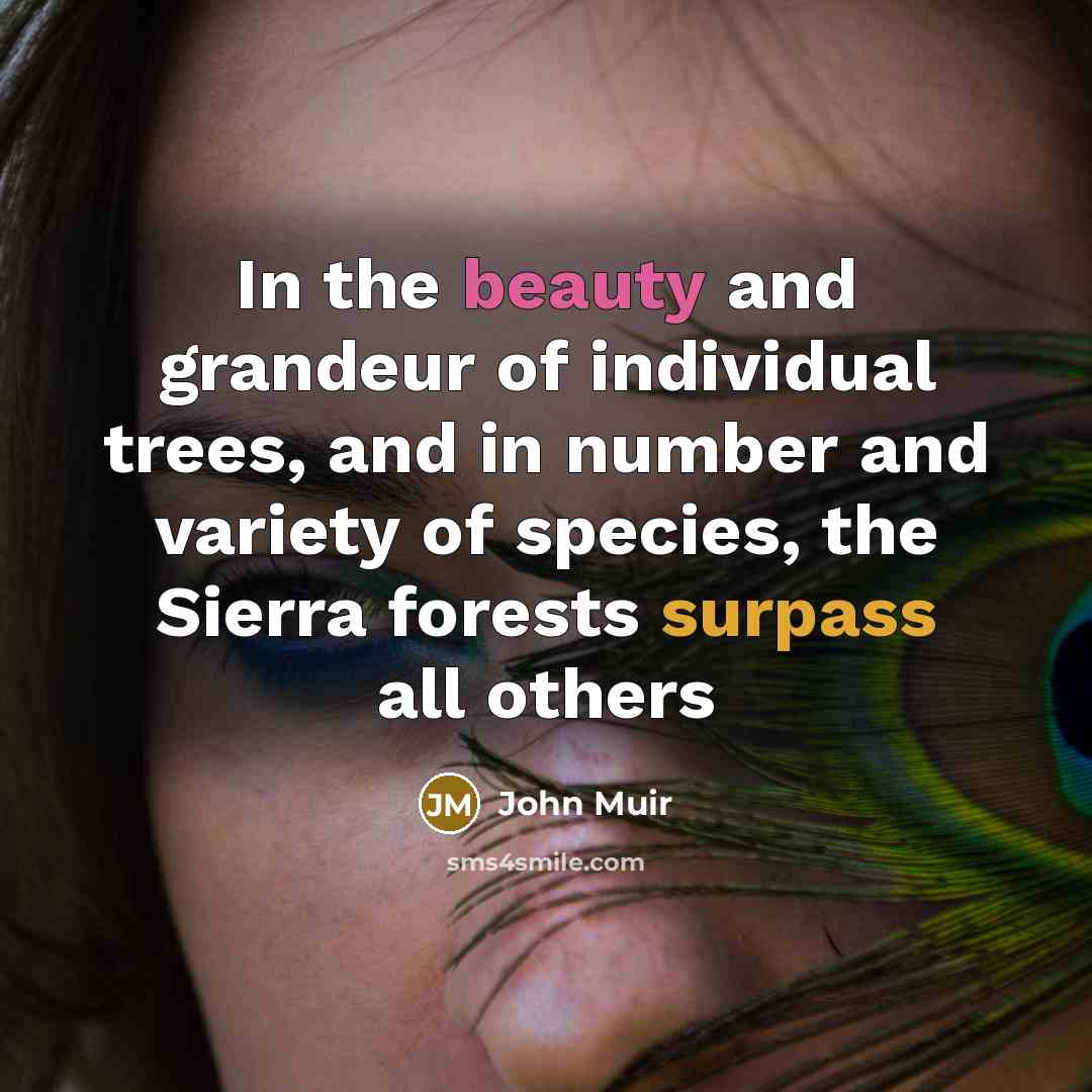 “In the beauty and grandeur of individual trees, and in…” quote by John Muir