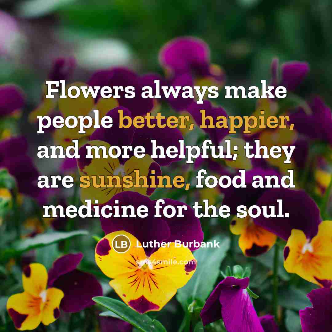 “Flowers always make people better, happier, and more helpful; they are sunshine, food and medicine for the soul.” quote by Luther Burbank