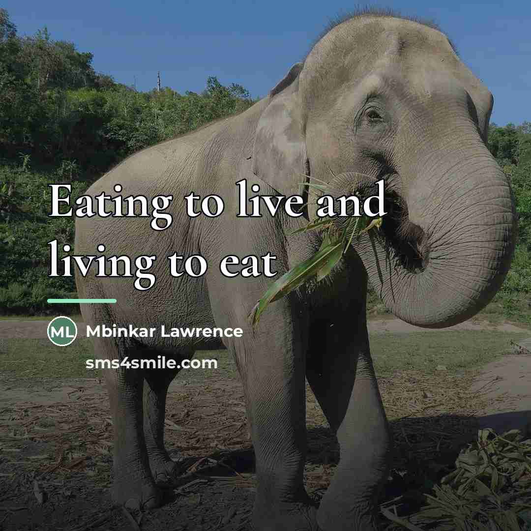 “Eating to live and living to eat…” quote by Mbinkar Lawrence