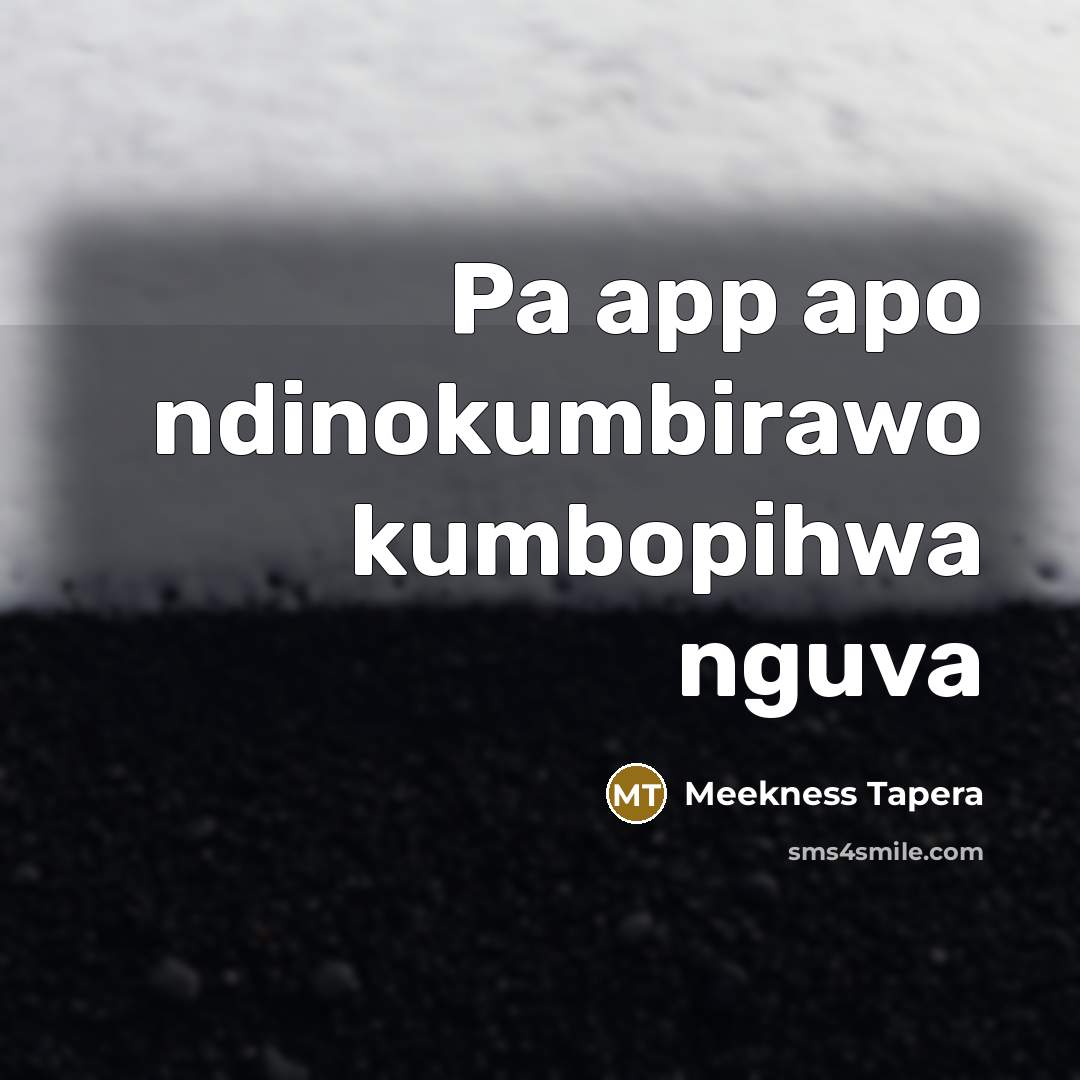 “Pa app apo ndinokumbirawo kumbopihwa nguva…” quote by Meekness Tapera