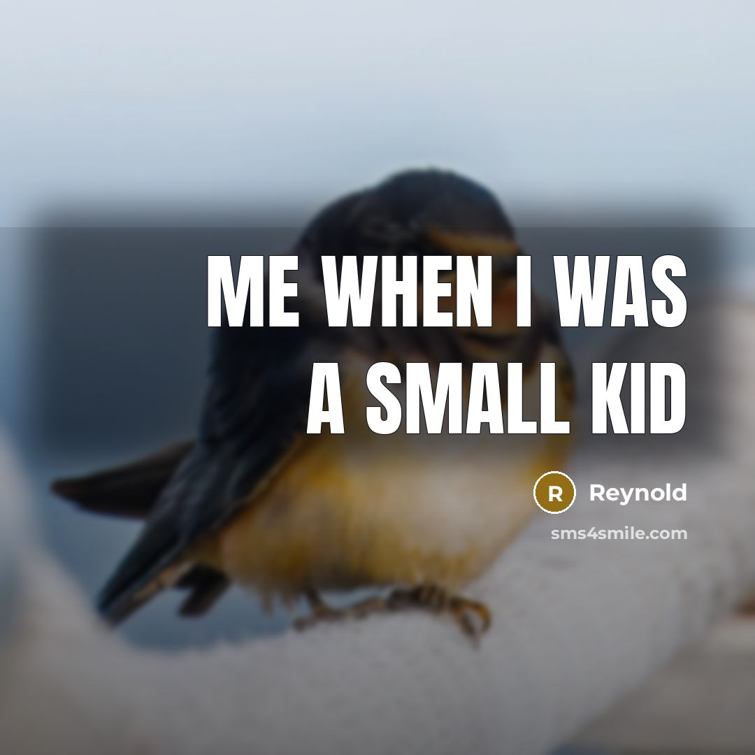 “Me when I was a small kid…” quote by Reynold
