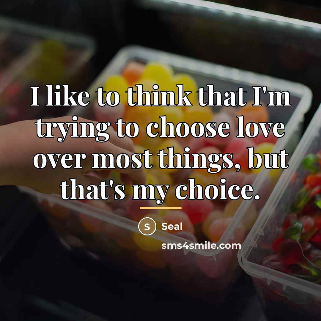 “I like to think that I'm trying to choose love…” quote by Seal