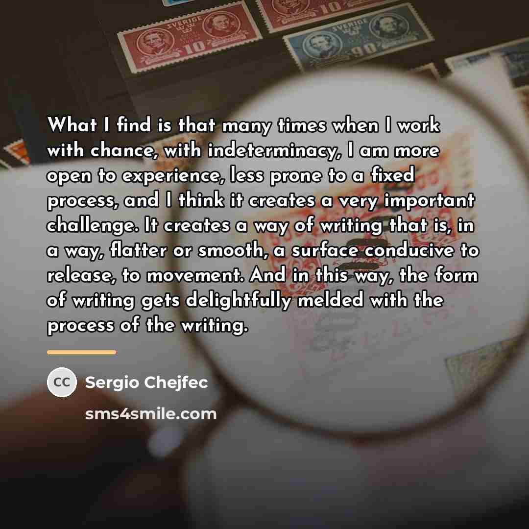 “What I find is that many times when I work…” quote by Sergio Chejfec