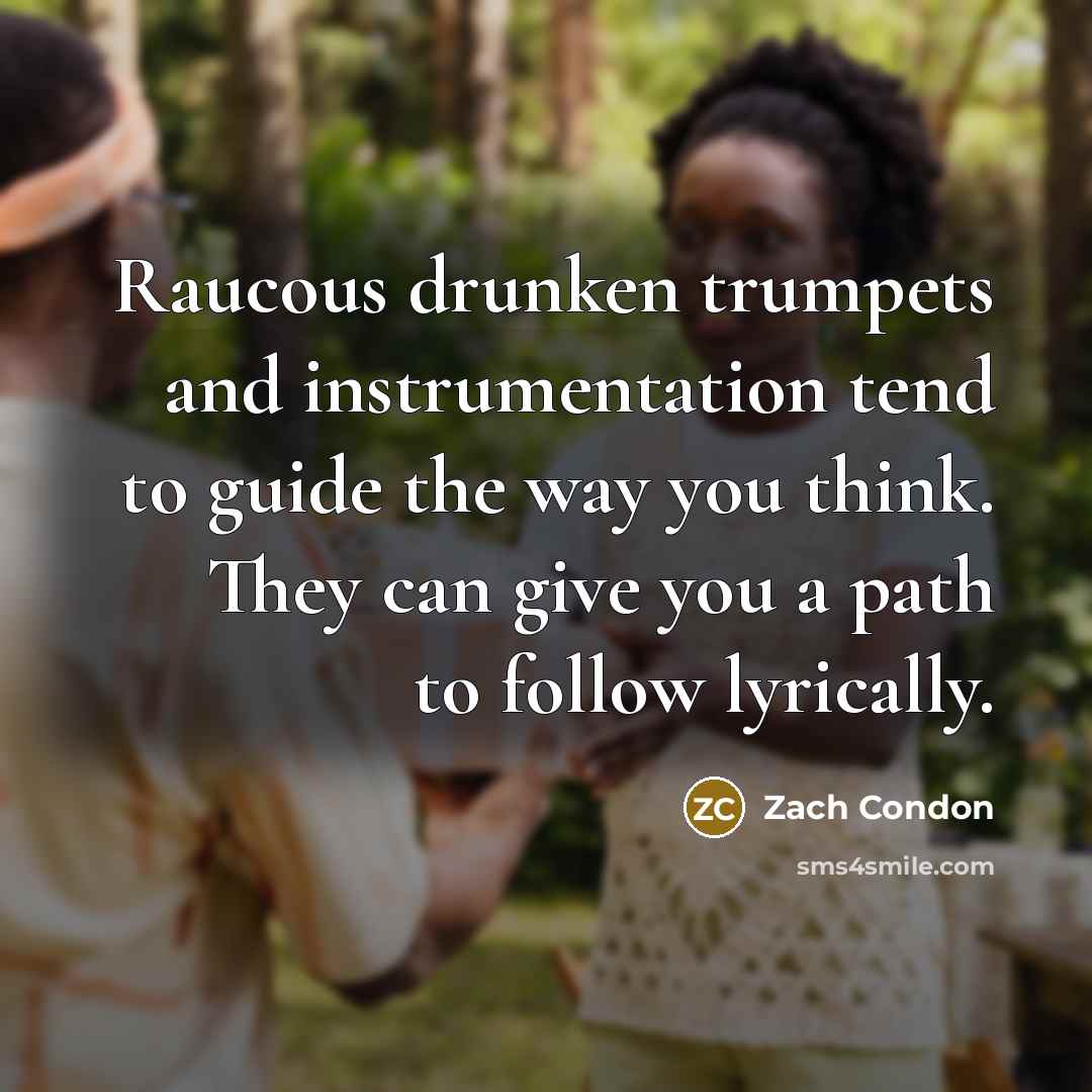 “Raucous drunken trumpets and instrumentation tend to guide the way…” quote by Zach Condon