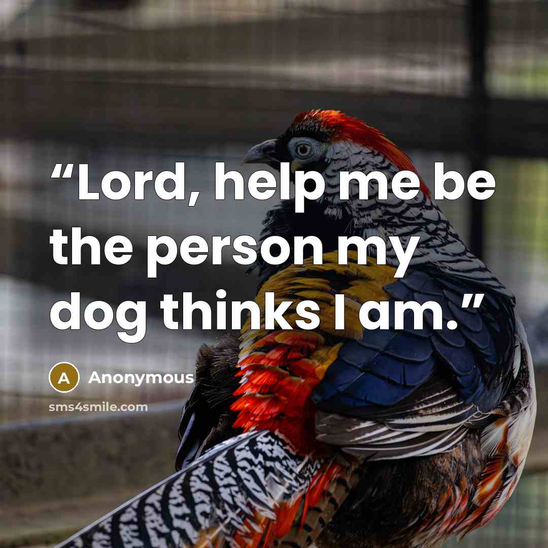 “Lord, help me be the person my dog thinks I am.” quote by Anonymous